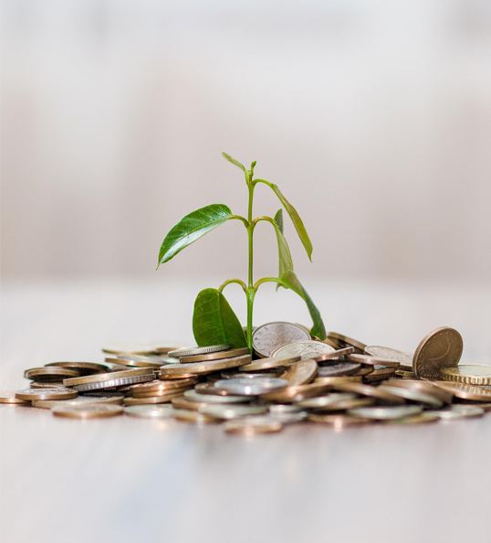 Solution comptable Odoo pour entreprises